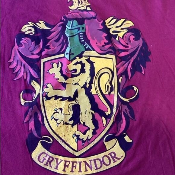 Harry Potter  Wizarding World Gryffindor Men’s Size Large 100% Cotton T-Shirt - Picture 4 of 7